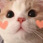 Daniela Solís avatar